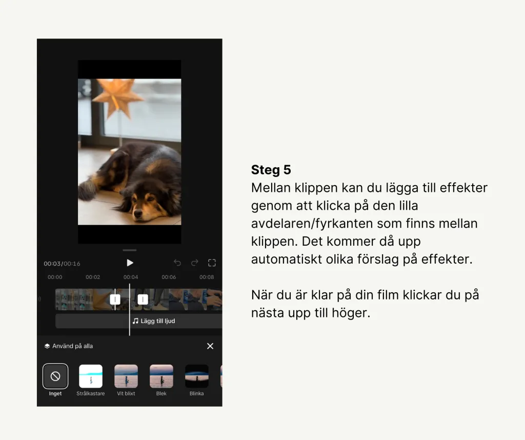 Skapa tiktok film - Steg 5